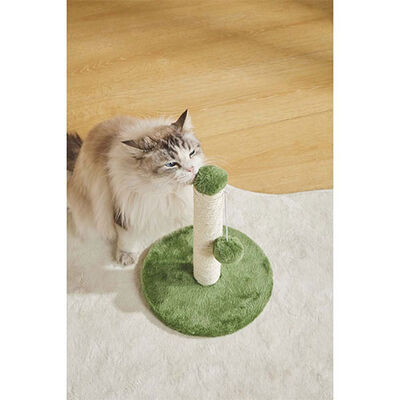 M-Pets My First Ponponlu Kedi Tırmalama Tahtası Yeşil 24x24x30 Cm  M-Pets My First Ponponlu Kedi Tırmalama Tahtası Yeşil 24x24x30 Cm