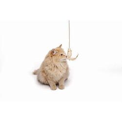 M-Pets Natura Olta Kedi Oyuncağı 35 Cm - Thumbnail