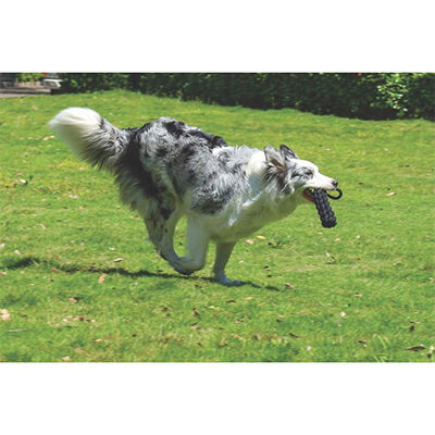 M-Pets Örgü Köpek Oyuncağı Siyah 34 Cm 