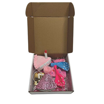 M-Pets Party Time Dişi Köpekler İçin Doğum Günü Seti 20x20x7 Cm 