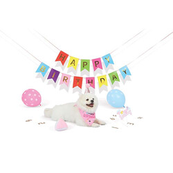 M-Pets Party Time Dişi Köpekler İçin Doğum Günü Seti 20x20x7 Cm - Thumbnail