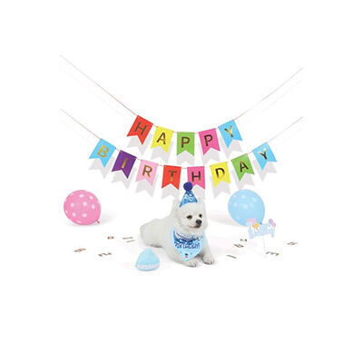 M-Pets Party Time Erkek Köpekler İçin Doğum Günü Seti 20x20x7 Cm 