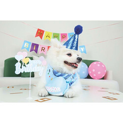 M-Pets Party Time Erkek Köpekler İçin Doğum Günü Seti 20x20x7 Cm - Thumbnail