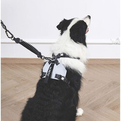 M-Pets Pull Power Köpekler İçin Şok Emici Ara Tasma Siyah 25 Cm - Thumbnail