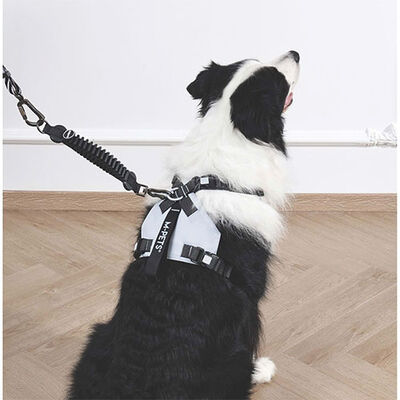 M-Pets Pull Power Köpekler İçin Şok Emici Ara Tasma Siyah 25 Cm 