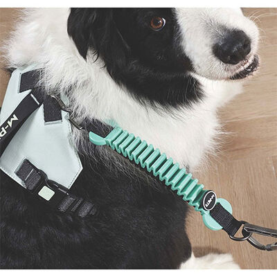 M-Pets Pull Power Köpekler İçin Şok Emici Ara Tasma Yeşil 25 Cm 