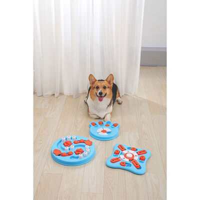 M-Pets Puzzle 1.Seviye Brainy Games Darwin Köpek Eğitim Oyuncağı 14x13,5x3 Cm 