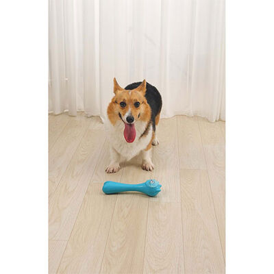 M-Pets Rob Ödül Hazneli Köpek Oyuncağı Mavi 23,5x6,5x6,5 Cm 