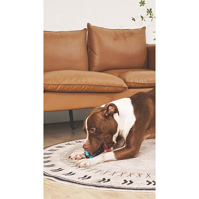 M-Pets Single Ring King Köpek Oyuncağı 12,7x12,7x2,2 Cm 