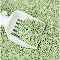 M-Pets Soya Organik Yeşil Çaylı Kedi Kumu 10 Lt - Thumbnail