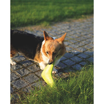 M-Pets Splash Frizbi Köpek Oyuncağı Turuncu 19x23x3 Cm 