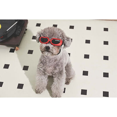 M-Pets Sunny Daytrip Köpek Gözlüğü Kırmızı 15,2x4,9 Cm 