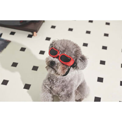 M-Pets Sunny Daytrip Köpek Gözlüğü Kırmızı 15,2x4,9 Cm 