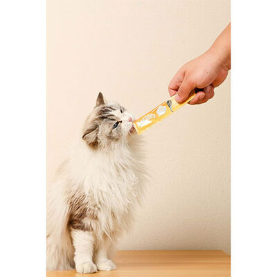 M-Pets Tavuklu Krema Kedi Ödül Maması 4x15 Gr 