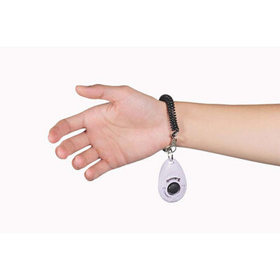 M-Pets Training Clicker Köpek Eğitim Aparatı 