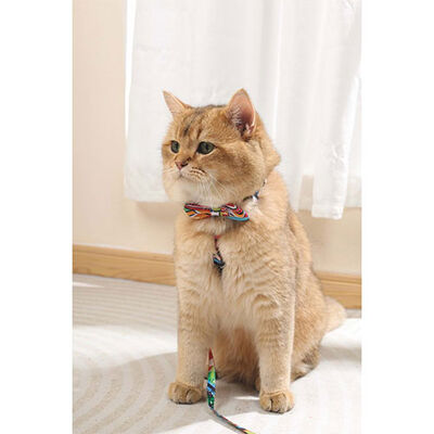 M-Pets Urban Style Freestyle Kedi ve Köpek Papyonu Xs-S 