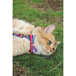 M-Pets Urban Style Jazz Stripes Kedi ve Köpek Papyonu Large - Thumbnail