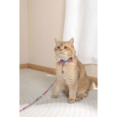 M-Pets Urban Style Jazz Stripes Kedi ve Köpek Papyonu Large 