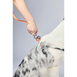 M-Pets Wild Jungle Köpek Gezdirme Kayışı Turuncu Large-Xlarge 2x120 Cm - Thumbnail