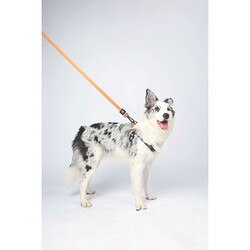 M-Pets Wild Jungle Köpek Gezdirme Kayışı Turuncu Small-Medium 1x120 Cm - Thumbnail