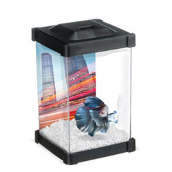 Marina - Marina Betta Seti Tower