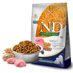 ND - N&D Ancestral Grain Kuzulu Yaban Mersinli Orta ve Büyük Irk Düşük Tahıllı Yavru Köpek Maması 12 Kg 