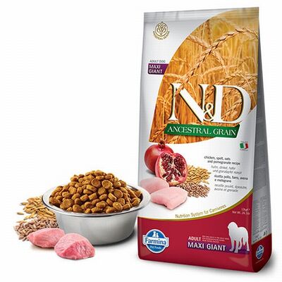 N&D Ancestral Grain Maxi Giant Tavuklu Narlı Düşük Tahıllı Yetişkin Köpek Maması 12 Kg 