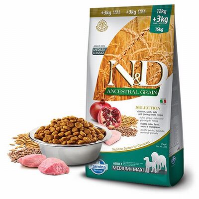 N&D Ancestral Grain Tavuklu Narlı Medium Maxi Yetişkin Köpek Maması 12+3 Kg 