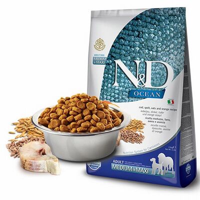 N&D Ocean Balıklı Portakallı Orta ve Büyük Irk Düşük Tahıllı Yetişkin Köpek Maması 12 Kg 
