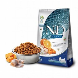 ND - N&D Ocean Pumpkin Balkabaklı Morina Balıklı Portakallı Küçük Irk Tahılsız Yetişkin Köpek Maması 2,5 Kg 