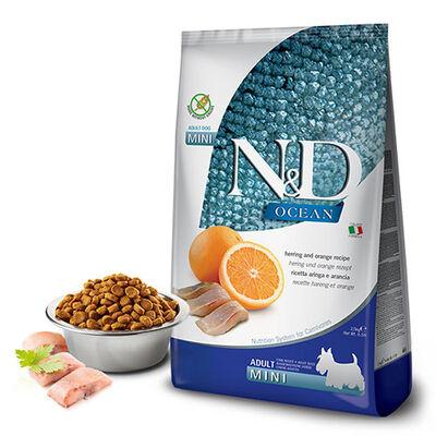 N&D Ocean Ringa Balıklı Tahılsız Küçük Irk Yetişkin Köpek Maması 7 kg 