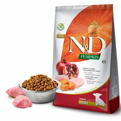 N&D Pumpkin Balkabaklı Tavuklu Narlı Küçük Irk Tahılsız Yavru Köpek Maması 7 Kg 