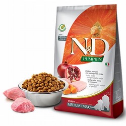 ND - N&D Pumpkin Balkabaklı Tavuklu ve Narlı Orta ve Büyük Irk Tahılsız Yavru Köpek Maması 2,5 Kg 