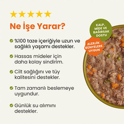 Test Ürün - Thumbnail