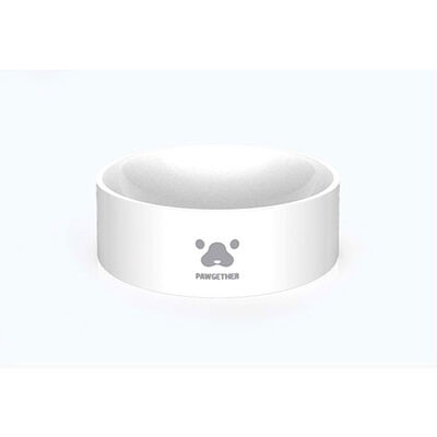 Pawgether Bowl 1S Kedi ve Küçük Irk Köpek Plastik Mama ve Su Kabı 850 ML 