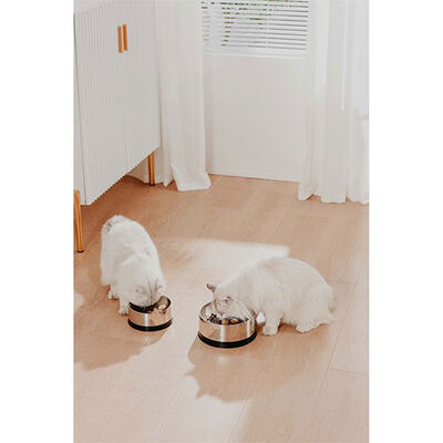 Pawgether Bowl 2S Kedi ve Küçük Irk Köpek Çelik Mama ve Su Kabı 850 Ml 