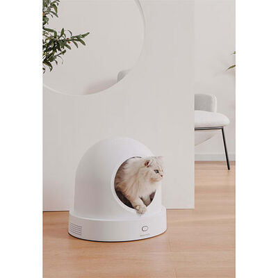 Pawgether D1S Dream 1S Wifi Bağlantılı Akıllı Kedi Evi 44,2x44,2x41 Cm 