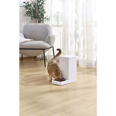 Pawgether F100S Kedi ve Köpekler İçin Wifi Bağlantılı Otomatik Mama Kabı 5500 Ml 