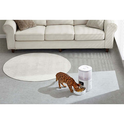 Pawgether F2S Kedi ve Köpekler İçin Wifi Bağlantılı Otomatik Mama Kabı 4000 Ml - Thumbnail