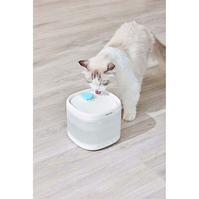 Pawgether Pure 3S Kedi ve Küçük Irk Köpek Otomatik Su Kabı 2000 Ml 