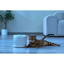 Pawgether Pure 3S Kedi ve Küçük Irk Köpek Otomatik Su Kabı 2000 Ml - Thumbnail