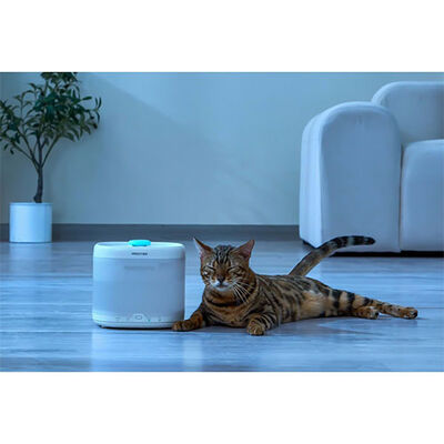 Pawgether Pure 3S Kedi ve Küçük Irk Köpek Otomatik Su Kabı 2000 Ml 