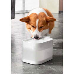 Pawgether Pure 4S Kedi ve Küçük Irk Köpek Otomatik Su Kabı 2500 Ml - Thumbnail