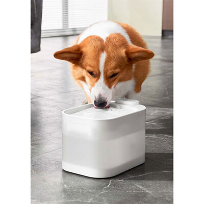Pawgether Pure 4S Kedi ve Küçük Irk Köpek Otomatik Su Kabı 2500 Ml 