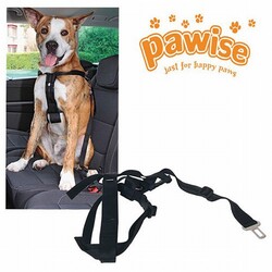 Pawise - Pawise Emniyet Kemer Tokalı Köpek Tasması XL 80-110 Cm 