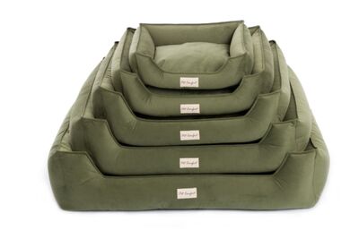 Pet Comfort Delta Leo 25 Köpek Yatağı Yeşil Large 80x105 Cm