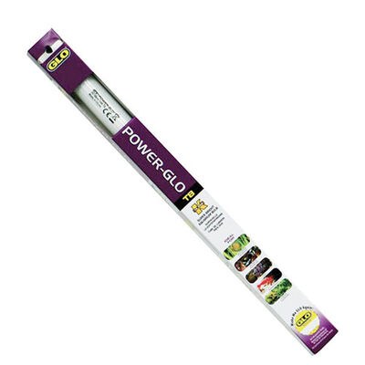 Power Glo Akvaryum Lambası T8 65 W 150 Cm 