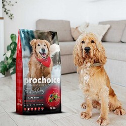 Pro Choice Fit Healthy Kuzulu ve Pirinçli Yetişkin Köpek Maması 12 Kg - Thumbnail
