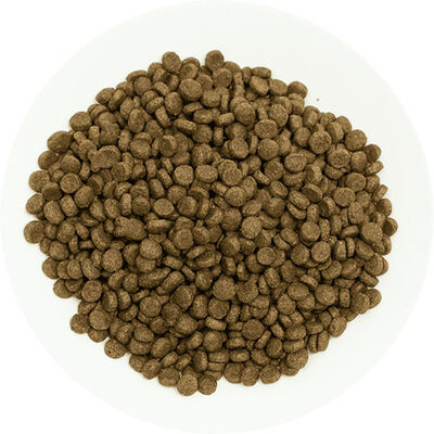 Pro Choice Perfect Start Kuzulu ve Pirinçli Yavru Köpek Maması 3 Kg 