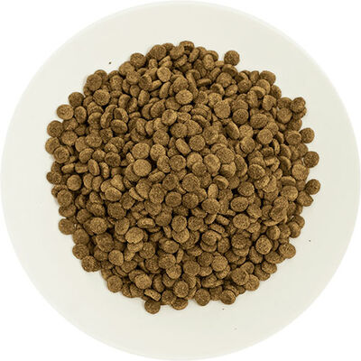 Pro Choice Pro 33 Adult Sterilised Salmonlu ve Karidesli Kısırlaştırılmış Kedi Maması 2 Kg 